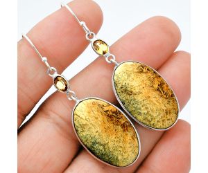 Coquina Fossil Jasper and Citrine Earrings SDE88525 E-1002, 16x26 mm