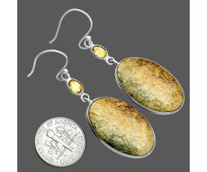 Coquina Fossil Jasper and Citrine Earrings SDE88525 E-1002, 16x26 mm