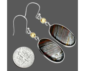 Iron Tiger Eye and Citrine Earrings SDE88528 E-1002, 13x23 mm