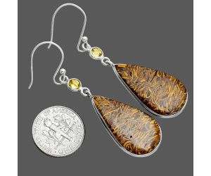 Coquina Fossil Jasper and Citrine Earrings SDE88539 E-1002, 15x27 mm