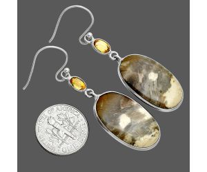 Bat Cave Jasper and Citrine Earrings SDE88540 E-1002, 14x24 mm