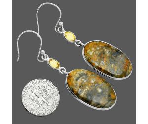 Eclipse and Citrine Earrings SDE88547 E-1002, 15x24 mm