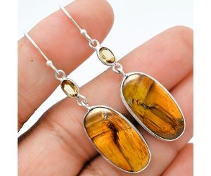 Tiger Eye and Citrine Earrings SDE88548 E-1002, 12x23 mm