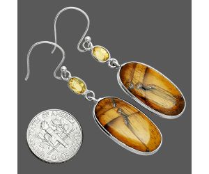 Tiger Eye and Citrine Earrings SDE88548 E-1002, 12x23 mm