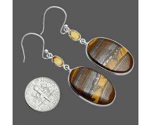 Iron Tiger Eye and Citrine Earrings SDE88558 E-1002, 14x24 mm