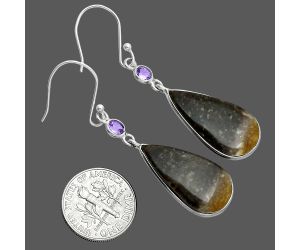 Bat Cave Jasper and Amethyst Earrings SDE88667 E-1002, 12x23 mm