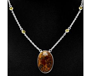 Rare Cady Mountain Agate and Citrine Necklace SDN1915 N-1012, 18x26 mm