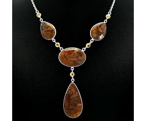 Rare Cady Mountain Agate and Citrine Necklace SDN2031 N-1023, 18x36 mm