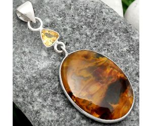 Natural Pietersite - Namibia & Citrine Pendant SDP104957 P-1098, 18x24 mm