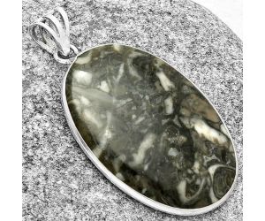 Natural Mexican Cabbing Fossil Pendant SDP128831 P-1001, 22x33 mm