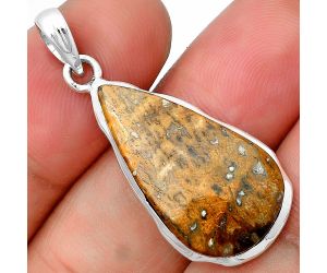 Palm Root Fossil Agate Pendant SDP137330 P-1110, 14x25 mm