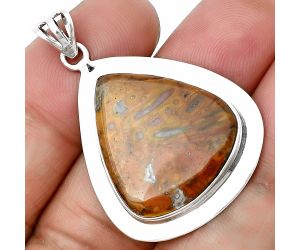 Rare Cady Mountain Agate Pendant SDP138823 P-1076, 21x23 mm