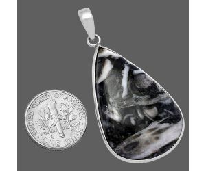 Mexican Cabbing Fossil Pendant SDP142016 P-1001, 23x35 mm