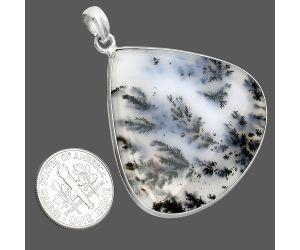 Robinson Ranch Plume Agate Pendant SDP153535 P-1001, 39x41 mm