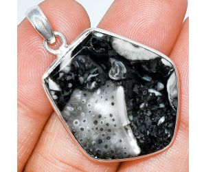 Mexican Cabbing Fossil Pendant SDP153607 P-1001, 26x29 mm