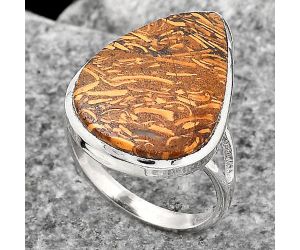 Coquina Fossil Jasper - India Ring size-8.5 SDR139697 R-1005, 16x22 mm