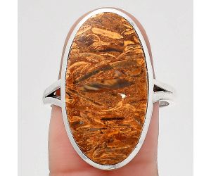 Natural Coquina Fossil Jasper - India Ring size-9 SDR139732 R-1005, 13x23 mm