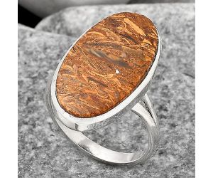 Natural Coquina Fossil Jasper - India Ring size-9 SDR139732 R-1005, 13x23 mm