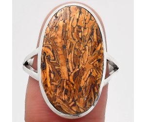 Natural Coquina Fossil Jasper - India Ring size-8 SDR140132 R-1005, 13x23 mm