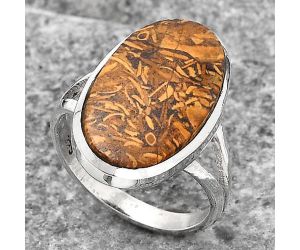 Natural Coquina Fossil Jasper - India Ring size-8 SDR140269 R-1005, 12x21 mm