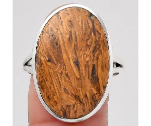 Coquina Fossil Jasper - India Ring size-9.5 SDR140308 R-1005, 16x23 mm