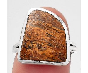 Natural Coquina Fossil Jasper - India Ring size-7 SDR140314 R-1005, 14x16 mm