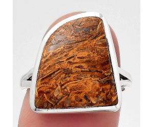 Natural Coquina Fossil Jasper - India Ring size-7 SDR140326 R-1005, 14x16 mm