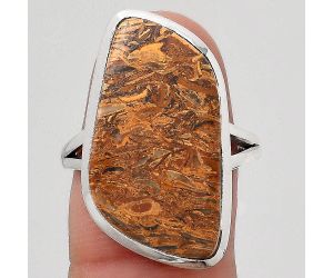 Natural Coquina Fossil Jasper - India Ring size-8 SDR140542 R-1005, 13x26 mm