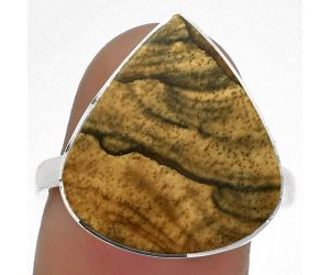 Natural Picture Jasper Ring size-8 SDR177988 R-1001, 17x19 mm