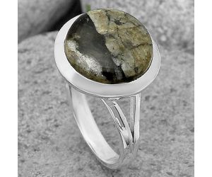 Natural Mexican Cabbing Fossil Ring size-8 SDR202098 R-1005, 12x12 mm