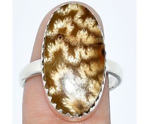 Sutured Ammonite Ring size-8 SDR238664 R-1210, 12x23 mm