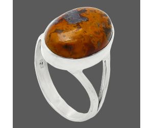 Rare Cady Mountain Agate Ring size-8.5 SDR239984 R-1002, 11x16 mm