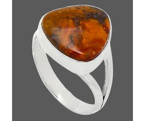 Rare Cady Mountain Agate Ring size-7.5 SDR240078 R-1002, 13x13 mm