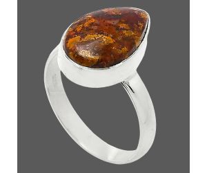 Rare Cady Mountain Agate Ring size-8 SDR240831 R-1001, 10x16 mm