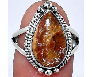 Rare Cady Mountain Agate Ring size-8 SDR241048 R-1253, 10x16 mm