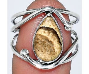 Picture Jasper Ring size-8 SDR241428 R-1683, 8x14 mm