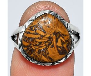 Coquina Fossil Jasper Ring size-7 SDR242401 R-1074, 13x13 mm