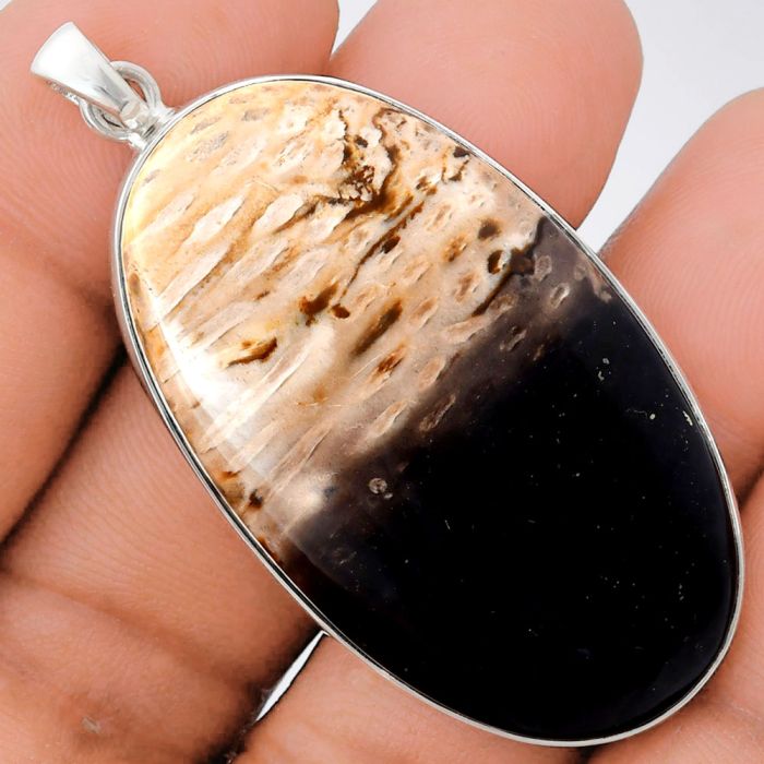 Palm Root Fossil Agate Pendant EXP01474 P-1001, 26x45 mm