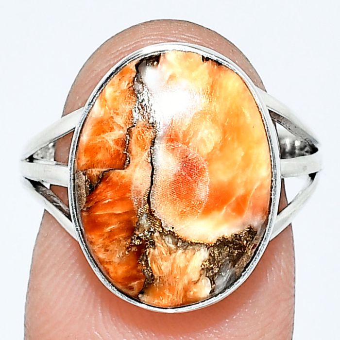 Spiny Oyster Turquoise Ring size-8 EXR01254 R-1003, 12x16 mm