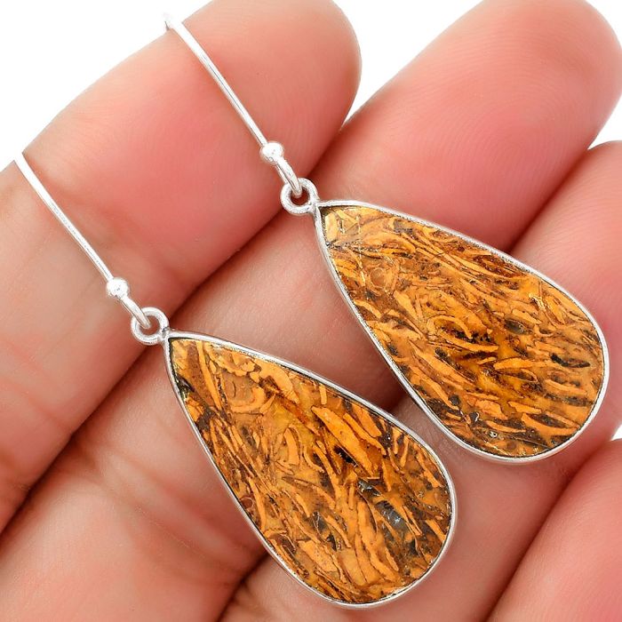 Natural Coquina Fossil Jasper - India Earrings SDE62450 E-1001, 14x26 mm