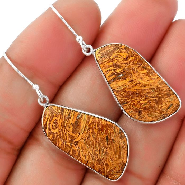 Natural Coquina Fossil Jasper - India Earrings SDE62464 E-1001, 13x26 mm