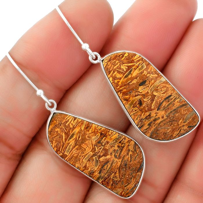 Natural Coquina Fossil Jasper - India Earrings SDE62470 E-1001, 14x28 mm