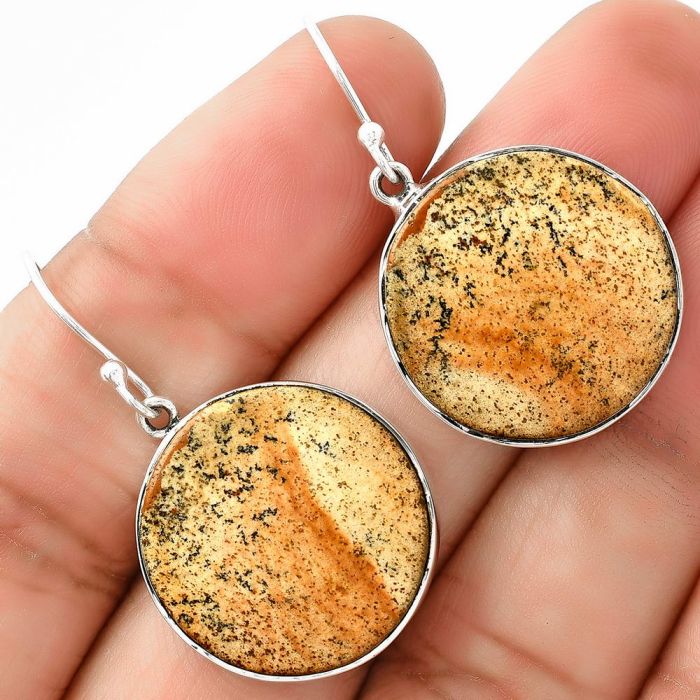 Natural Picture Jasper Earrings SDE68717 E-1001, 21x21 mm