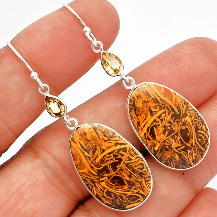 Coquina Fossil Jasper and Citrine Earrings SDE82526 E-1002, 15x23 mm