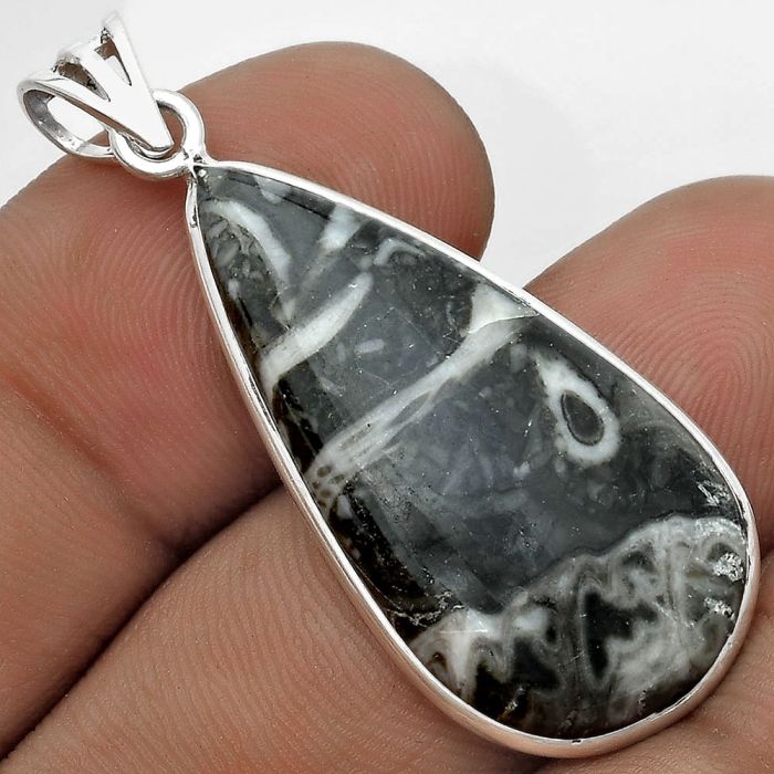 Natural Mexican Cabbing Fossil Pendant SDP122735 P-1001, 16x32 mm