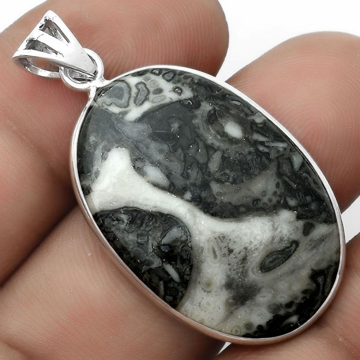 Natural Mexican Cabbing Fossil Pendant SDP123043 P-1001, 20x30 mm
