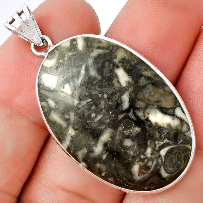 Natural Mexican Cabbing Fossil Pendant SDP128831 P-1001, 22x33 mm