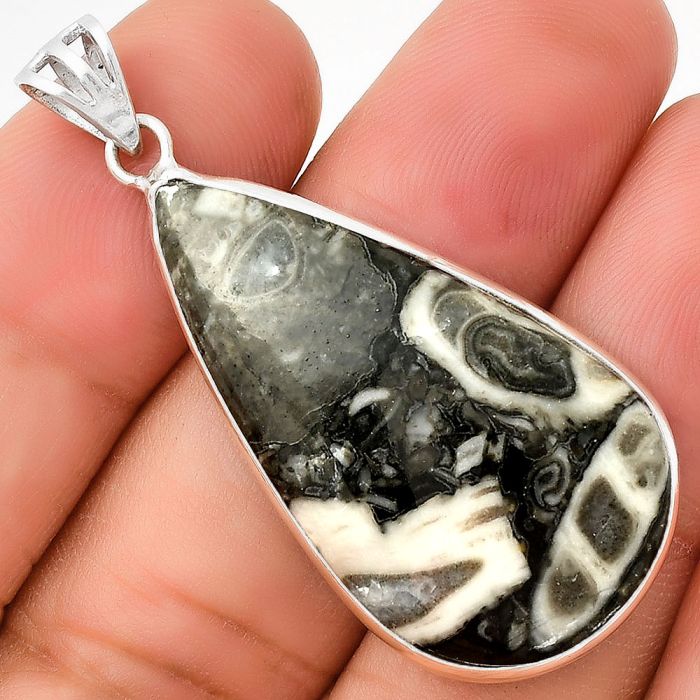 Natural Mexican Cabbing Fossil Pendant SDP130162 P-1001, 19x36 mm