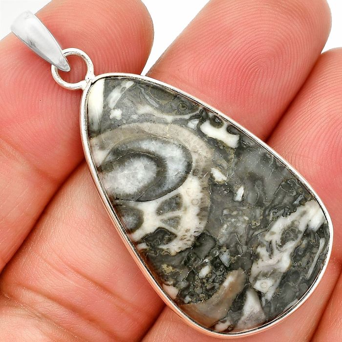 Mexican Cabbing Fossil Pendant SDP150281 P-1001, 21x35 mm