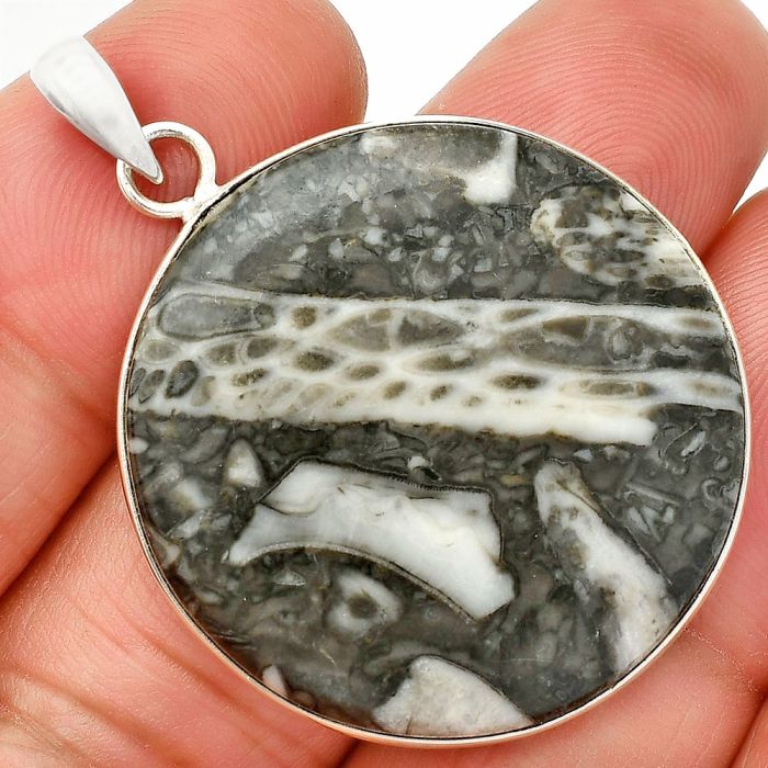 Mexican Cabbing Fossil Pendant SDP150329 P-1001, 31x31 mm